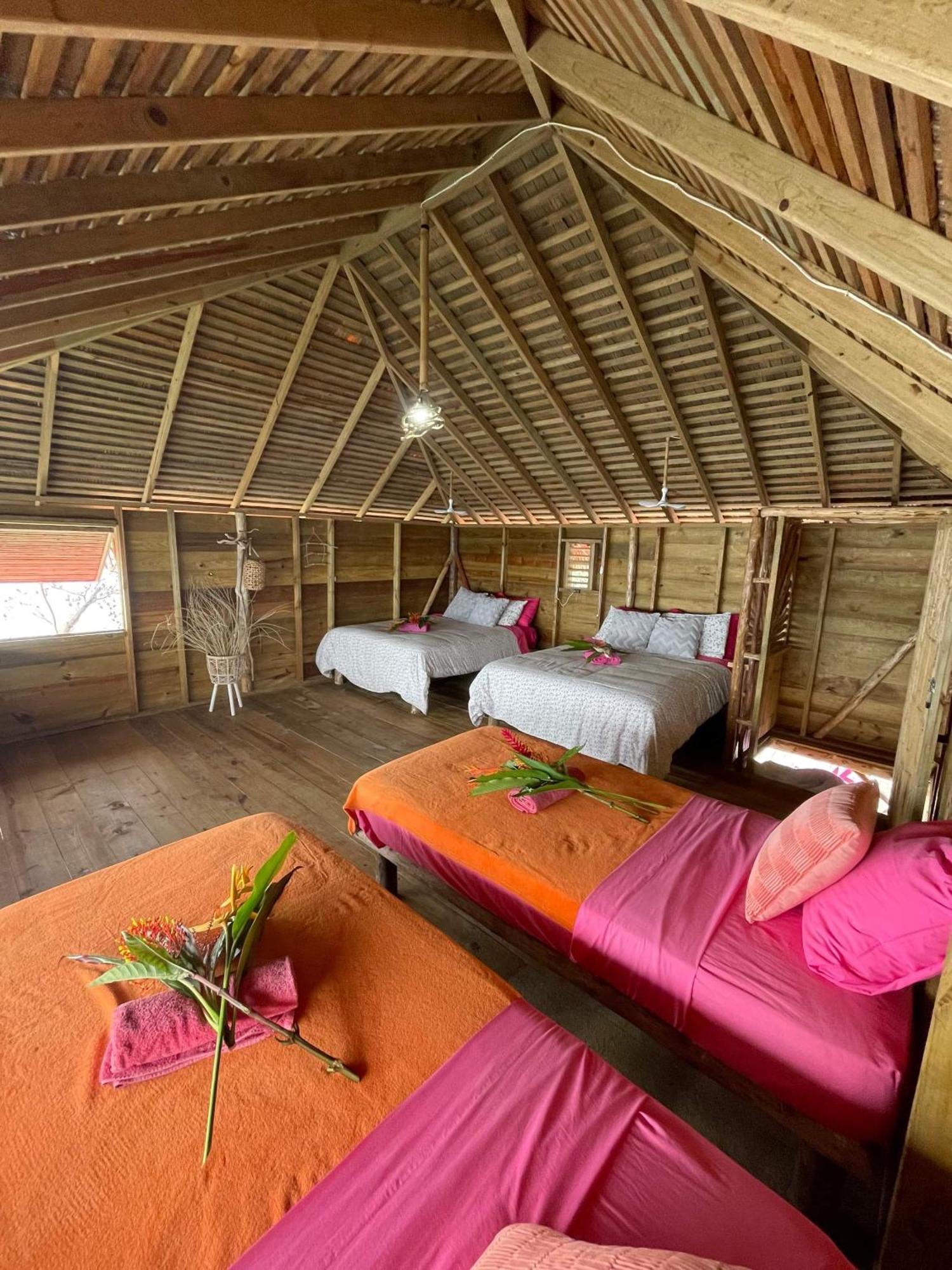 Urraca Monkey Island Eco Resort (Adults Only) Punta Laurel Екстер'єр фото