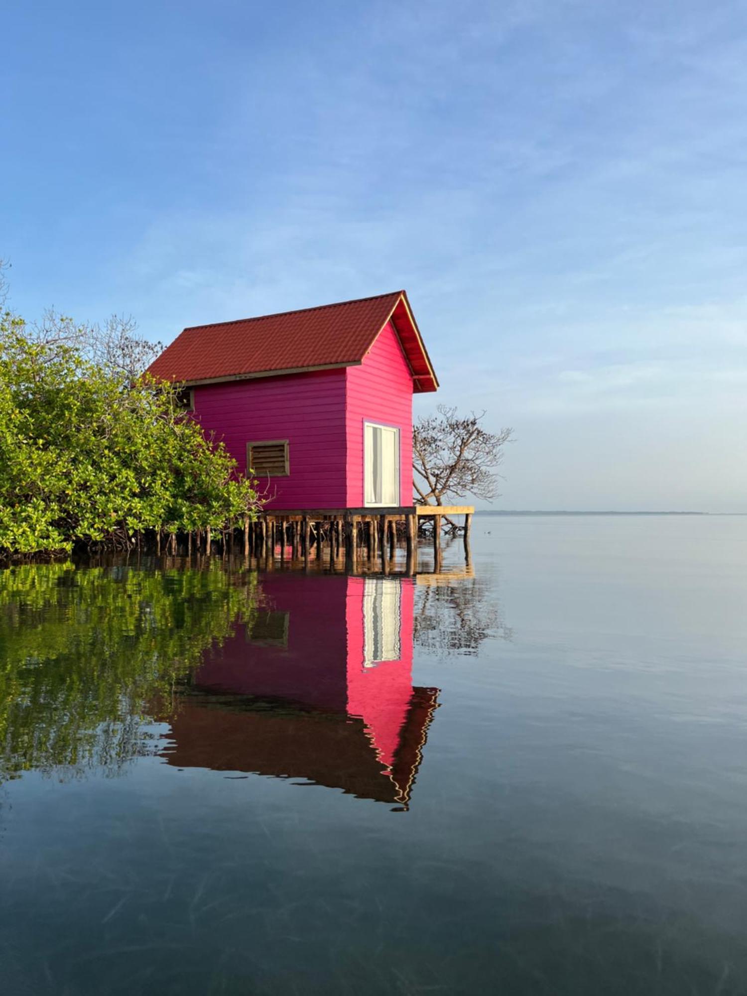 Urraca Monkey Island Eco Resort (Adults Only) Punta Laurel Екстер'єр фото