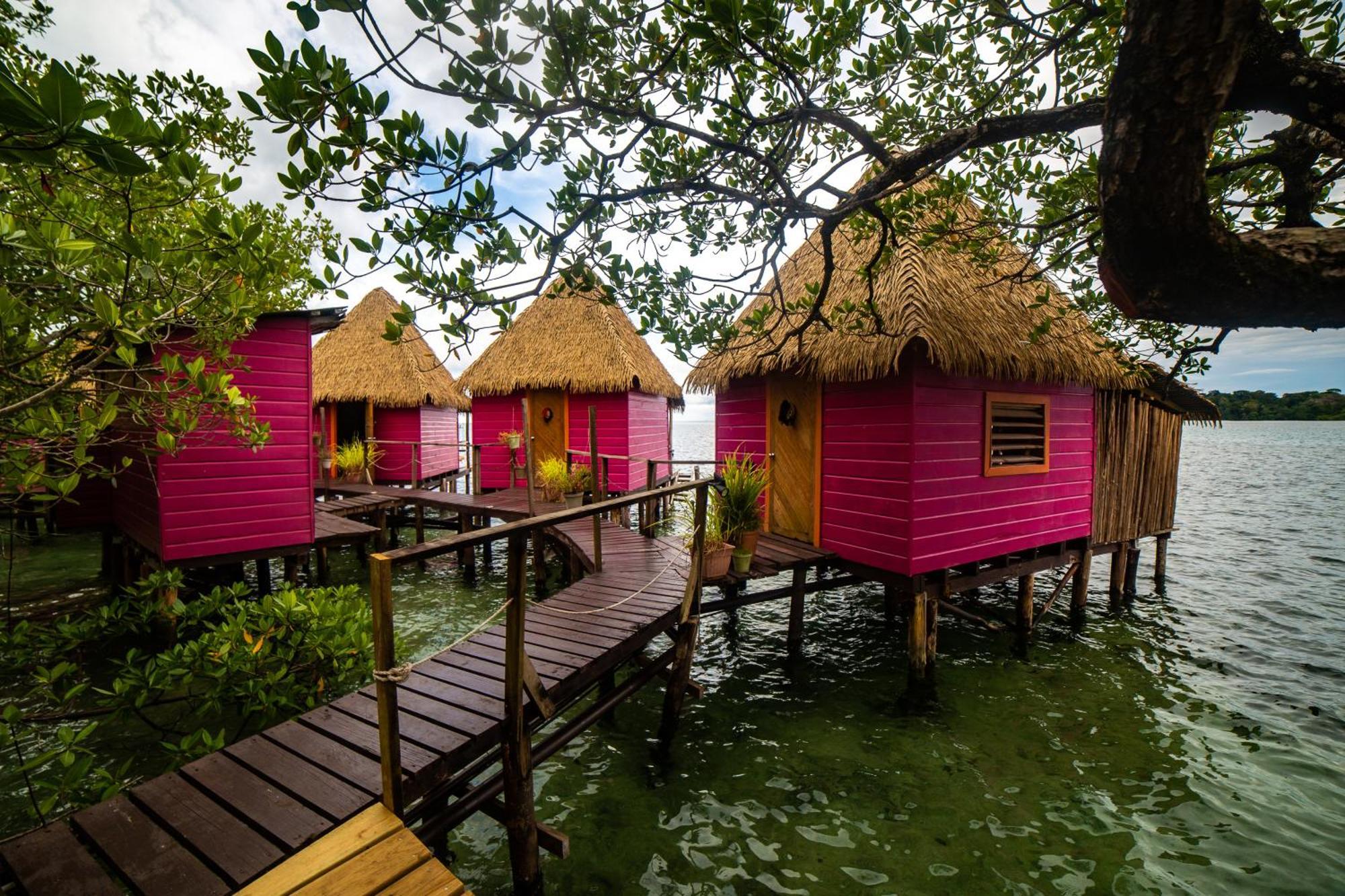 Urraca Monkey Island Eco Resort (Adults Only) Punta Laurel Екстер'єр фото