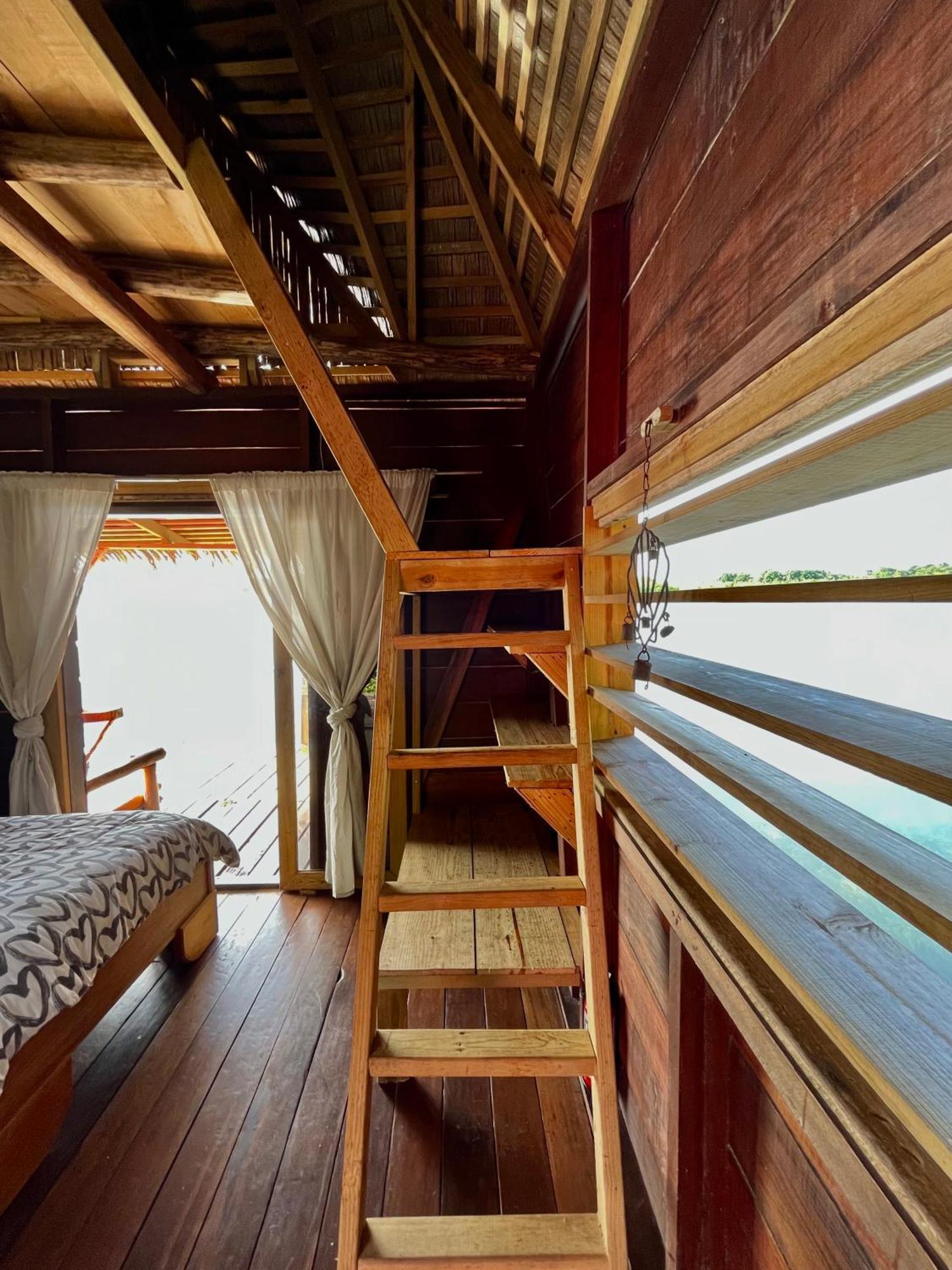 Urraca Monkey Island Eco Resort (Adults Only) Punta Laurel Номер фото