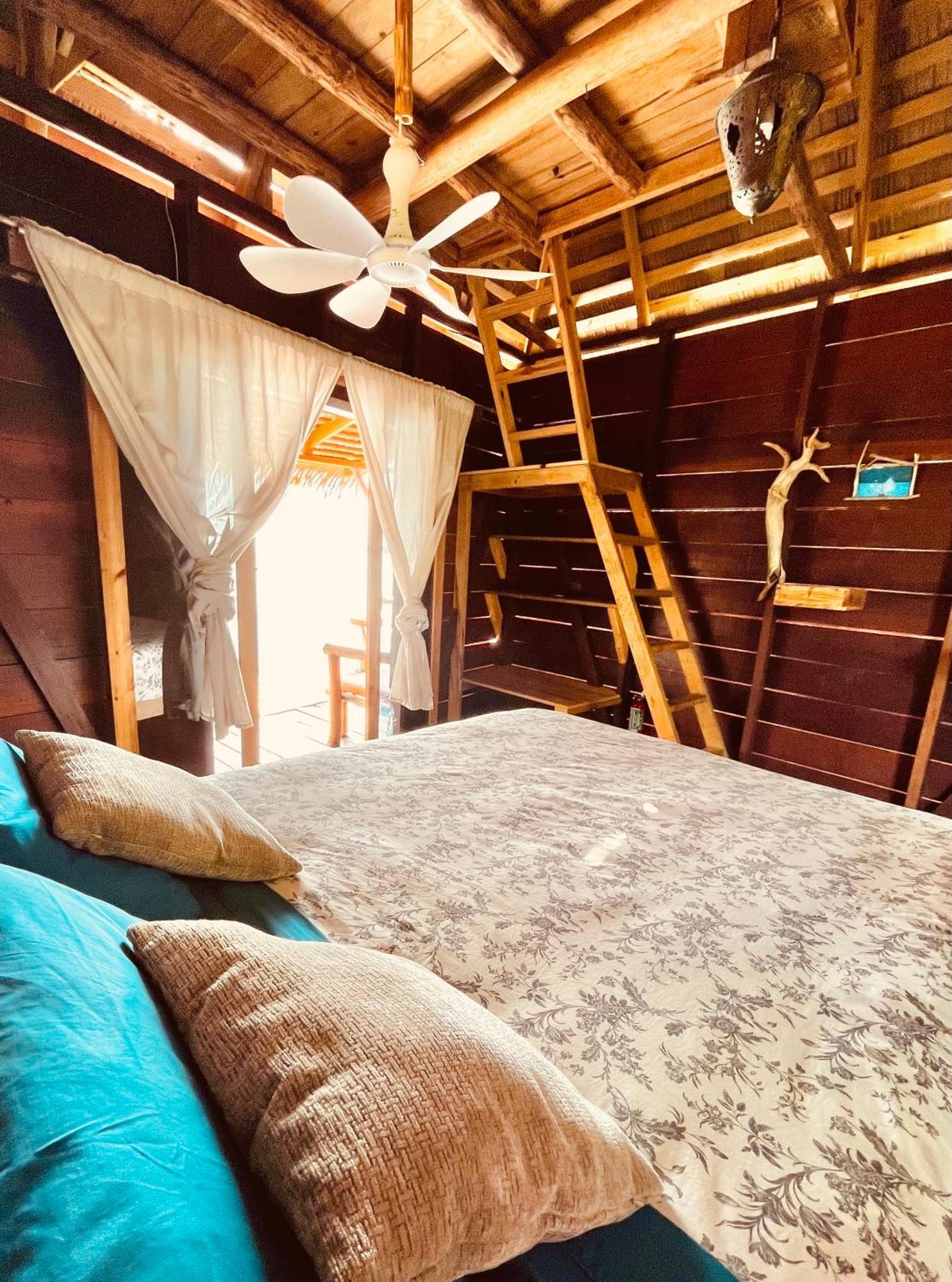Urraca Monkey Island Eco Resort (Adults Only) Punta Laurel Номер фото