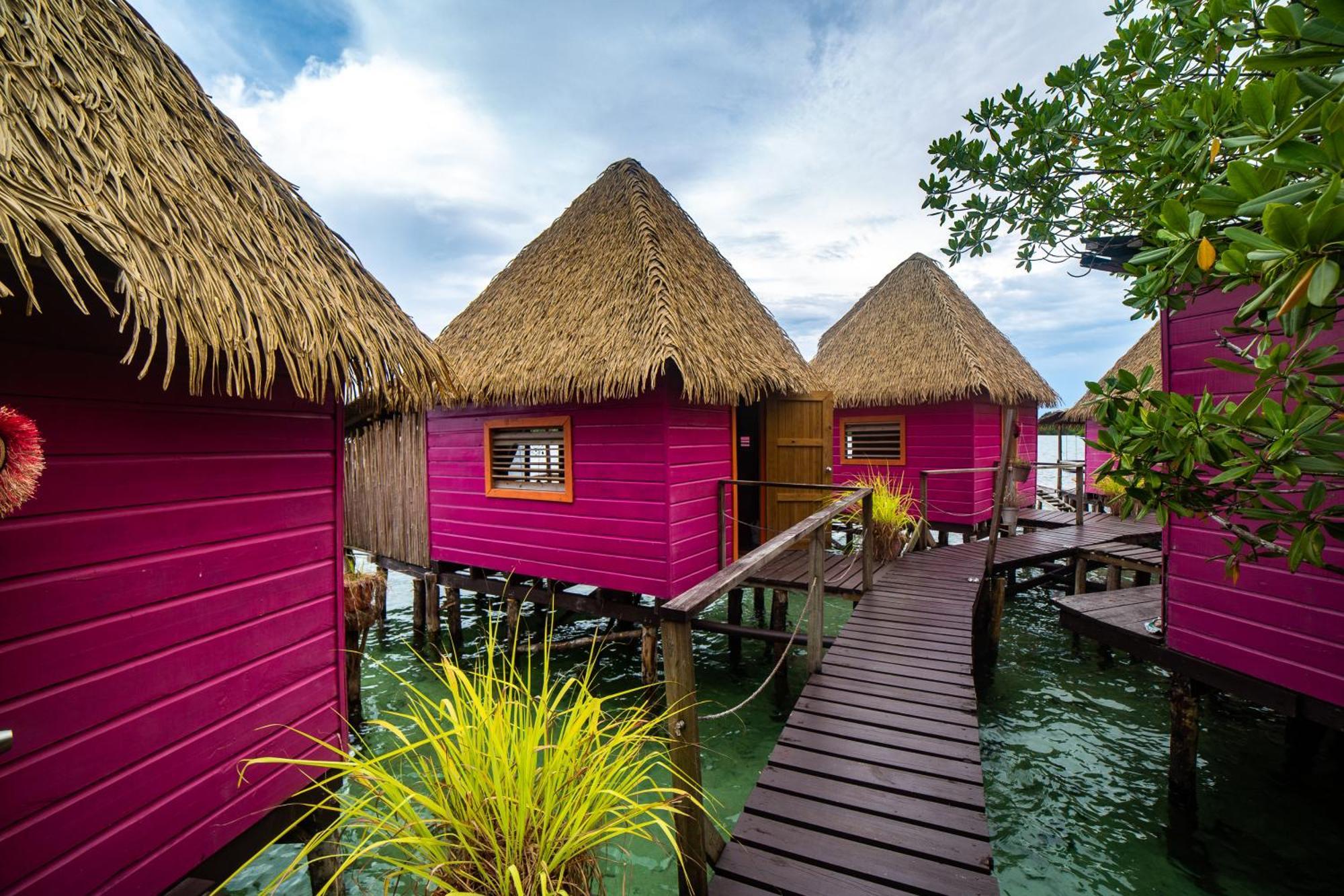 Urraca Monkey Island Eco Resort (Adults Only) Punta Laurel Екстер'єр фото