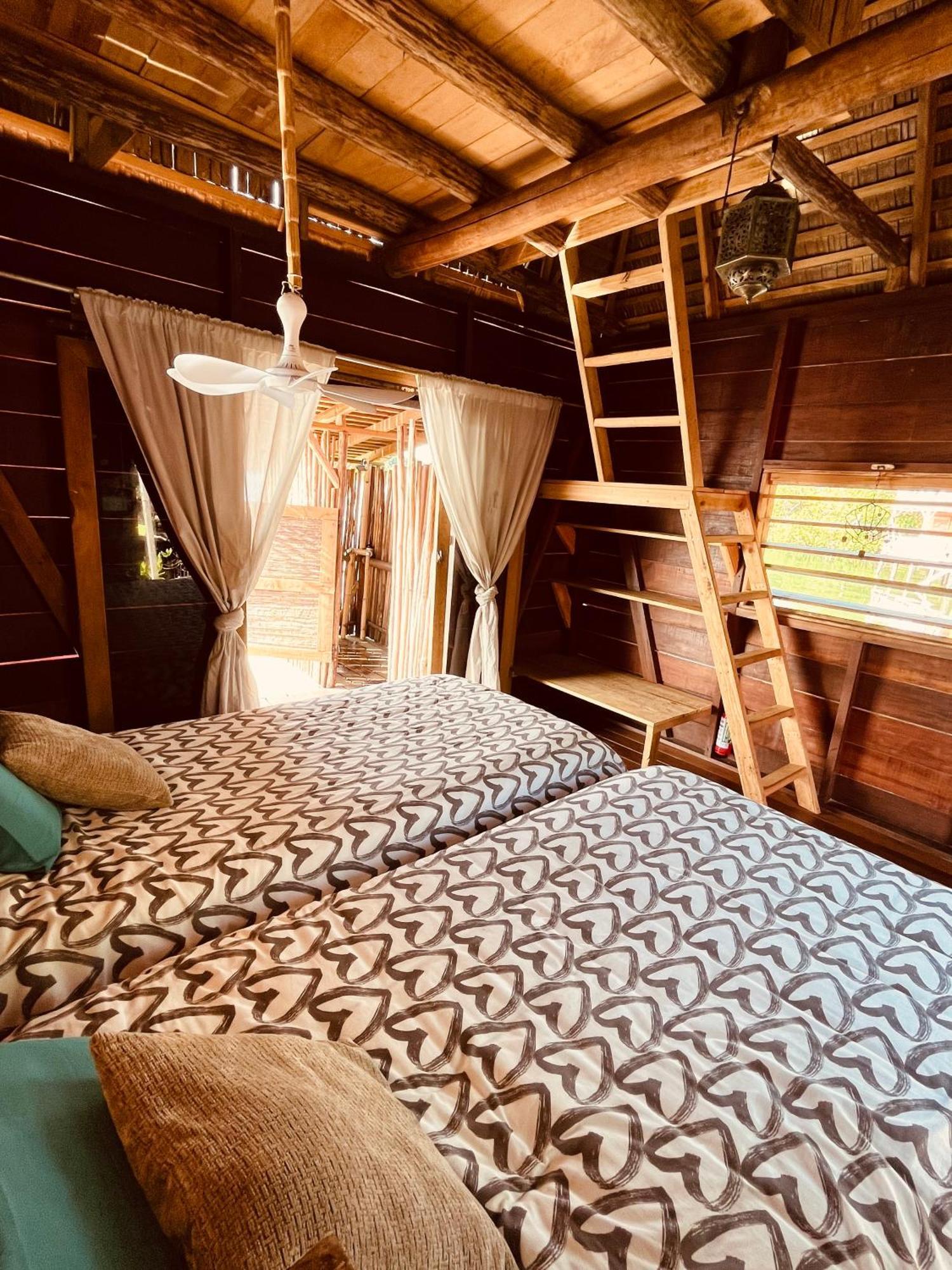 Urraca Monkey Island Eco Resort (Adults Only) Punta Laurel Номер фото