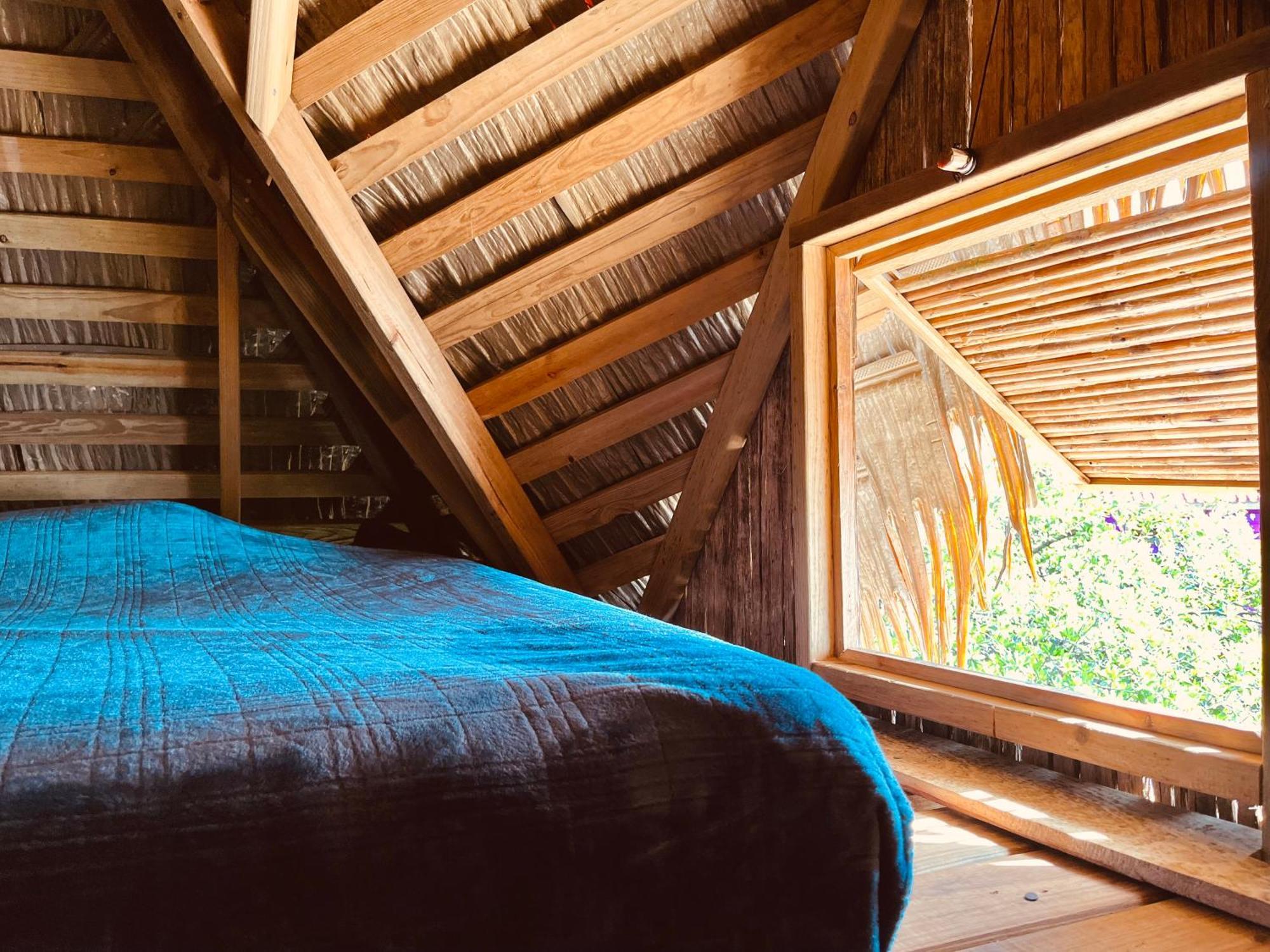 Urraca Monkey Island Eco Resort (Adults Only) Punta Laurel Номер фото