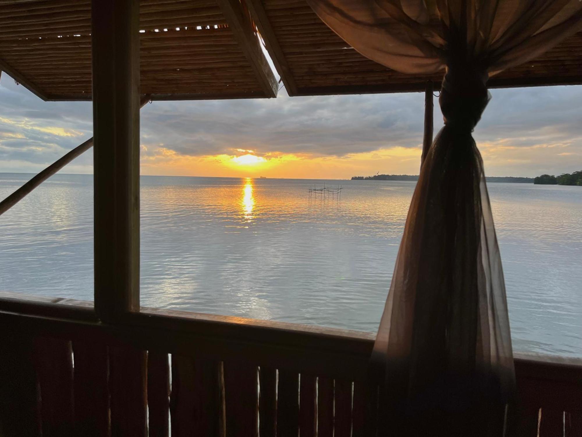 Urraca Monkey Island Eco Resort (Adults Only) Punta Laurel Номер фото