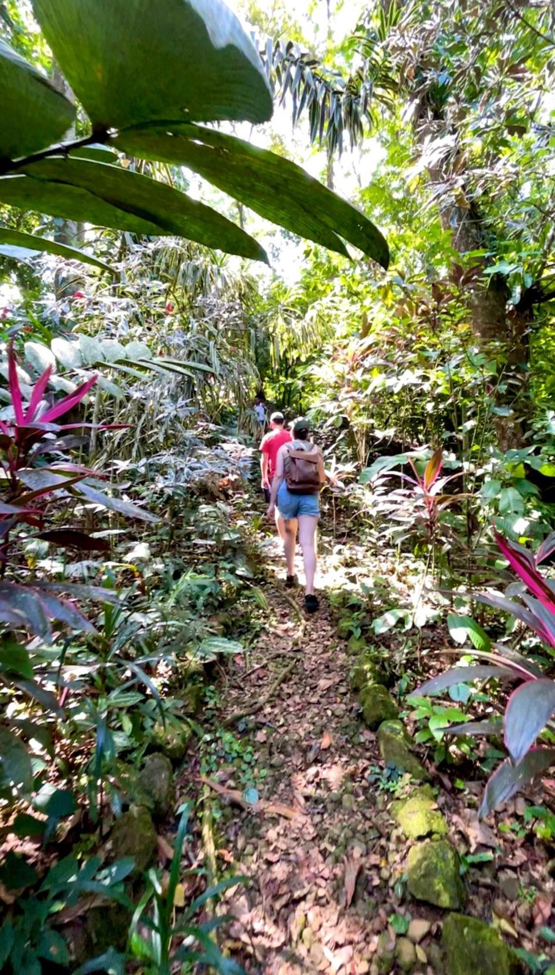 Urraca Monkey Island Eco Resort (Adults Only) Punta Laurel Екстер'єр фото