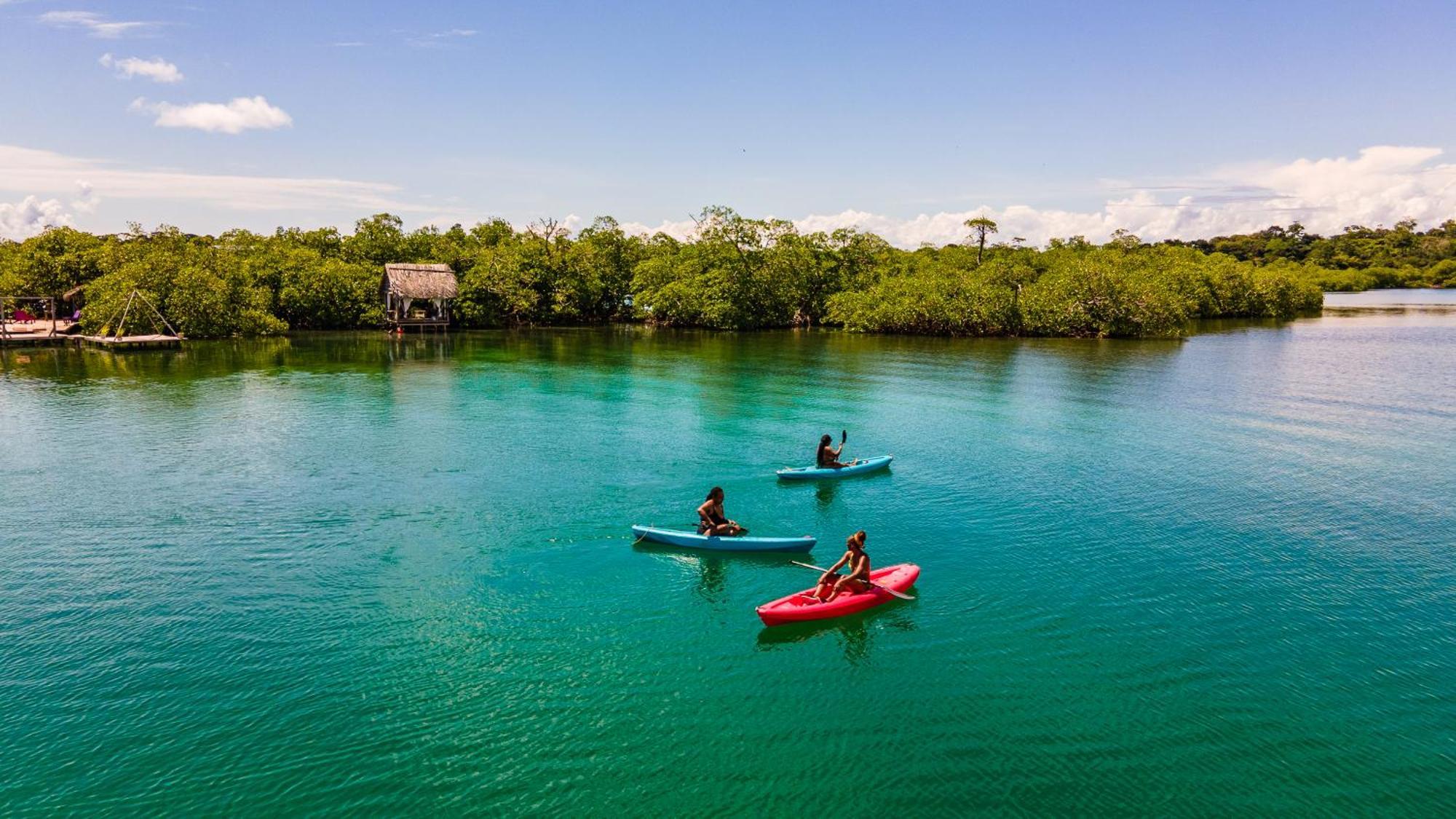 Urraca Monkey Island Eco Resort (Adults Only) Punta Laurel Екстер'єр фото